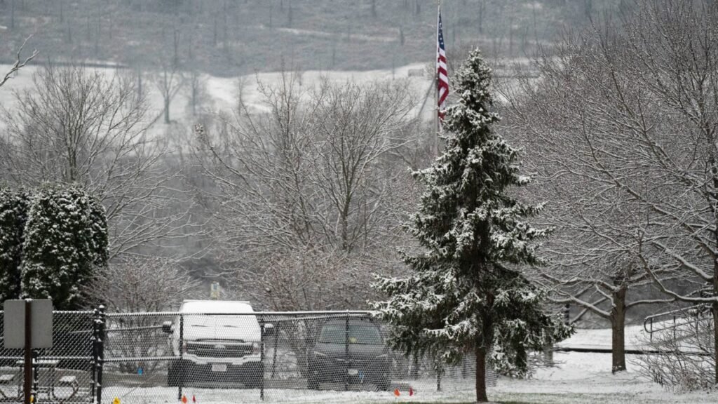 A look back at a year of gardening in Cincinnati, from cicadas to snow