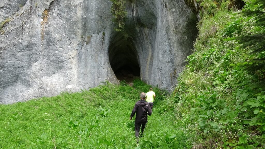 Türkiye scales up environmental protection for sites, trees, caves
