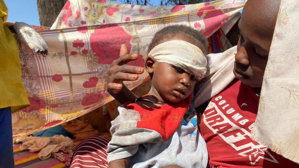 RSF killed 6,000 in 3 days during sack of Sudan's el-Fasher: UN