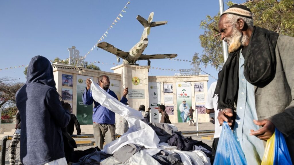 Somaliland looking to lure US with minerals, military base offers