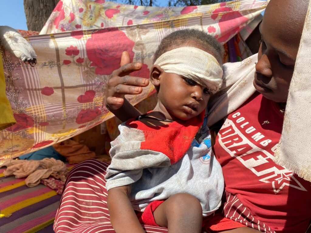 UN accuses paramilitary RSF of committing war crimes in Sudan’s el-Fasher | Crimes Against Humanity News UN accuses paramilitary RSF of committing war crimes in Sudan’s el-Fasher | Crimes Against Humanity News