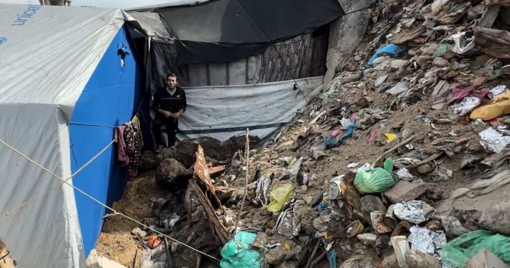 ‘Rats run over our faces’: Gaza’s displaced forced to live on infested land | Israel-Palestine conflict ‘Rats run over our faces’: Gaza’s displaced forced to live on infested land | Israel-Palestine conflict
